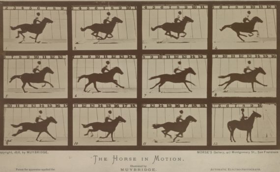 Eadweard Muybridge, <em>The Horse in Motion</em>