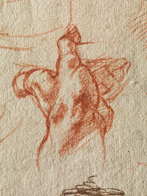 Michelangelo Buonarroti, Studies for the Libyan Sibyl (recto), c. 1510–11, red chalk, with small accents of white chalk on the left shoulder of the figure in the main study, 28.9 × 21.4 cm (The Metropolitan Museum of Art)