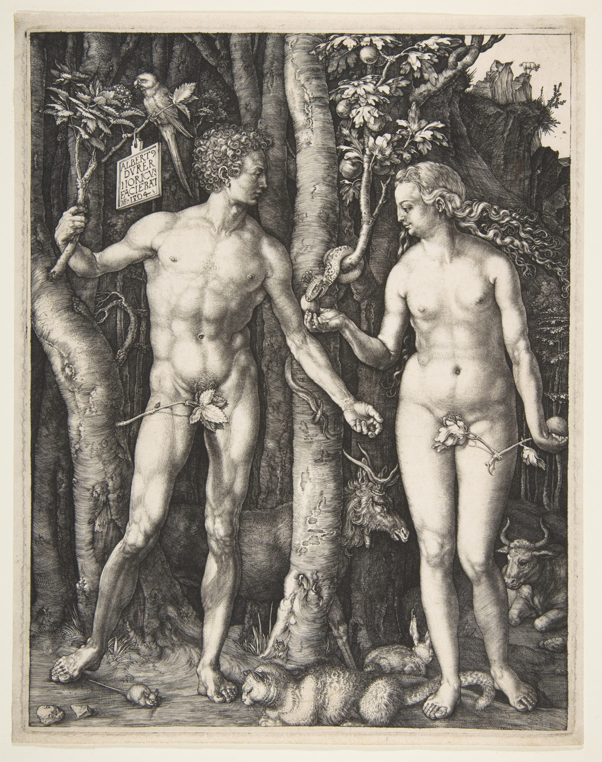 Bible From Adam And Eve Sex - Albrecht DÃ¼rer, Adam and Eve