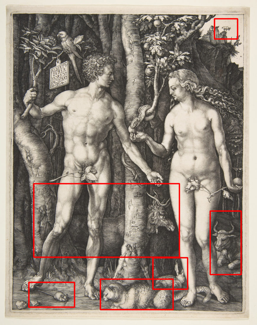 Graphic identifying the placement of animals (detail), Albrecht Dürer, Adam and Eve, 1504, engraving (fourth state), 25.1 x 20 cm (The Metropolitan Museum of Art)