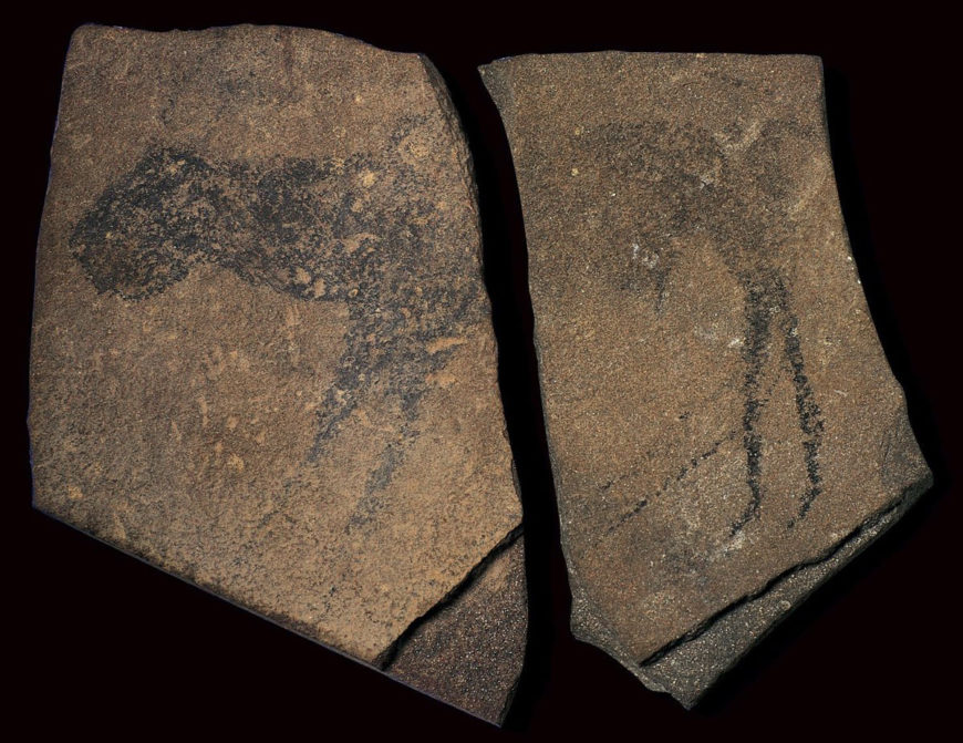 Quartzite slabs depicting animals, Apollo 11 Cave, Namibia, c. 25,500–25,300 B.C.E. Image courtesy of State Museum of Namibia, Windhoek