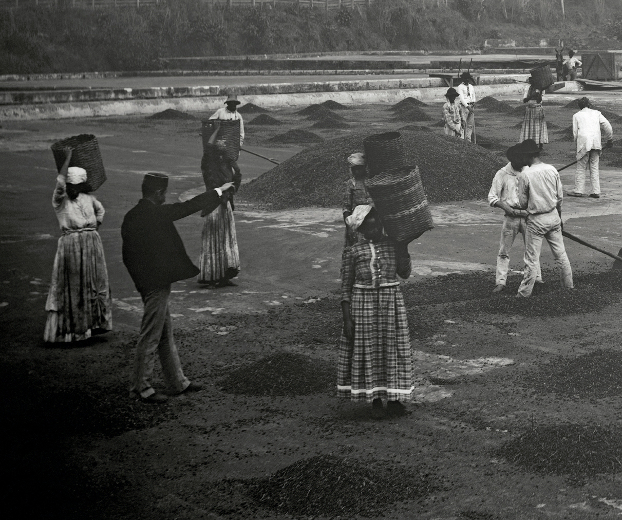 Marc Ferrez, Slaves at a Coffee Yard in a Farm, Vale do Paraiba