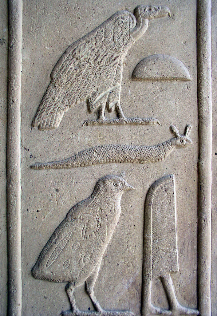 Hieroglyphs, detail from the White Chapel, Karnak (photo: Dr. Amy Calvert)