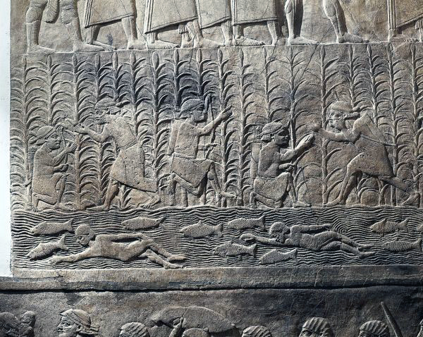 Scene of agricultural work and swimmers in river, c. 645 B.C.E., Assyrian, relief, from Royal Palaces of Nineveh (The British Museum)
