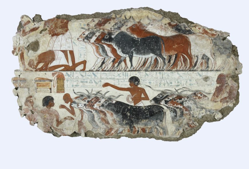 Nebamun's cattle, Tomb-chapel of Nebamun, c. 1350 B.C.E., 18th Dynasty, paint on plaster, 58.5 x 10.5 cm, Thebes, Egypt © Trustees of the British Museum