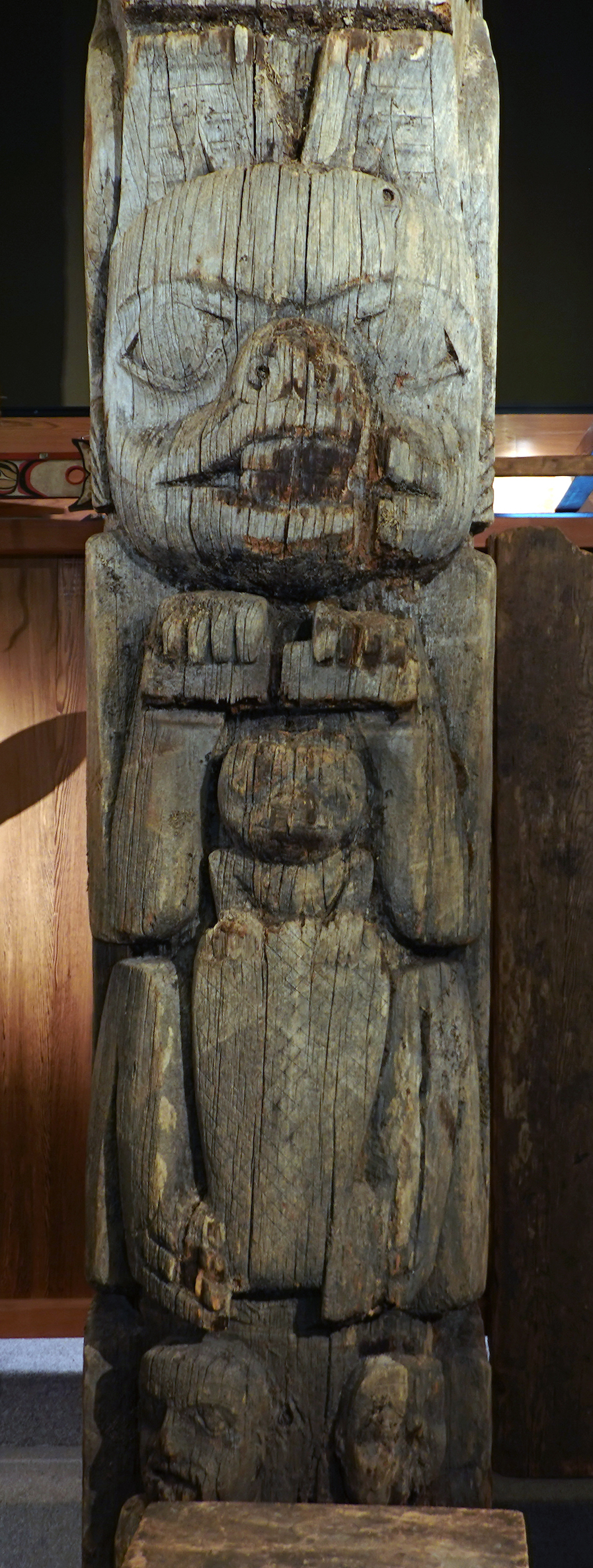 Haida Totem Pole, 19th century, from Old Kasaan, Alaska (Totem Heritage Center, Ketchikan, Alaska; photo: Dr. Lauren Kilroy-Ewbank)