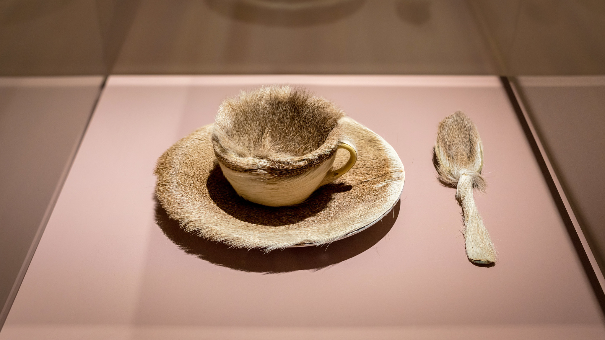 Meret Oppenheim, Object (Fur-covered cup, saucer, and spoon) photo picture