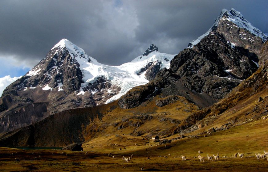 Alpaca herd, Ausangate, Peru (photo: Marturius, CC BY-SA 3.0)