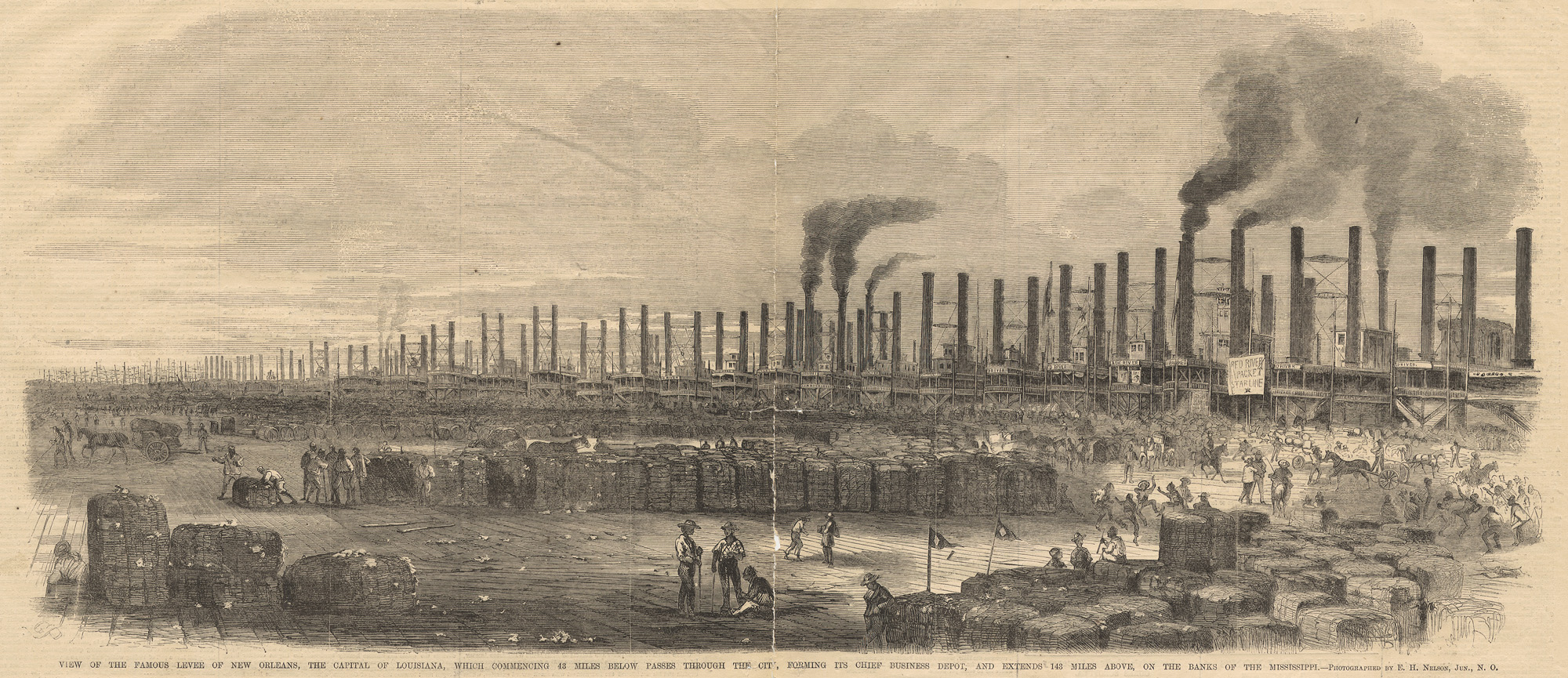 View of the Famous Levee of New Orleans, 1860 wood engraving from a photograph by E. H. Nelson, Frank Leslie’s Illustrated Newspaper (Chicago History Museum)