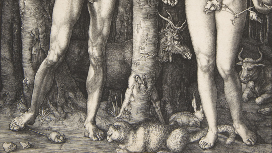 Animals (detail), Albrecht Dürer, <em>Adam and Eve</em>, 1504, engraving (fourth state), 25.1 x 20 cm (The Metropolitan Museum of Art)