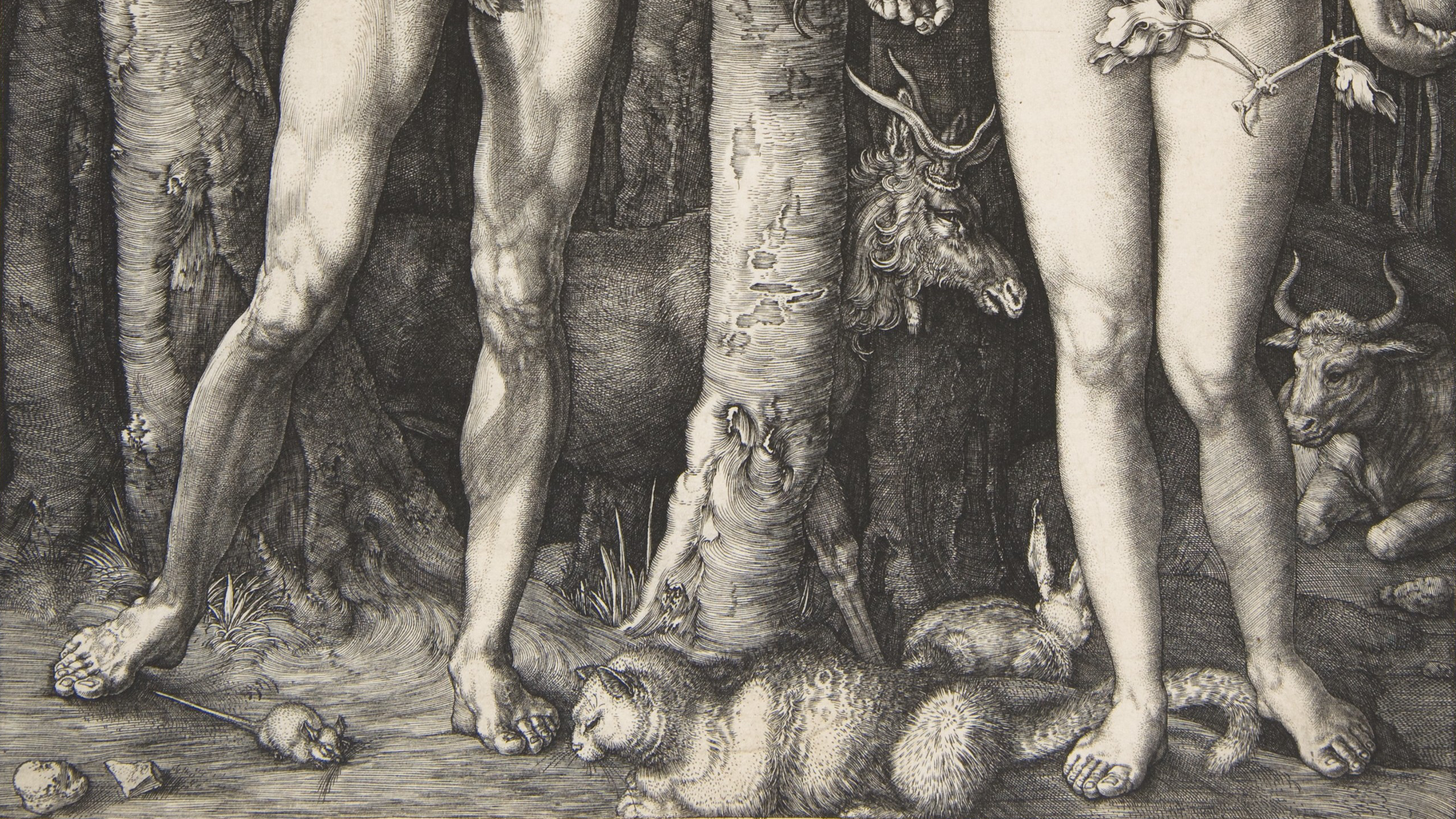 Albrecht Dürer, Adam and