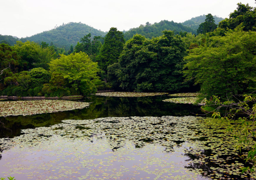 Kyōyōchi (Mirror-Shaped Pond), Ryōanji (Peaceful Dragon Temple), Kyoto, Japan (photo: Steven Zucker, CC BY-NC-SA 2.0)