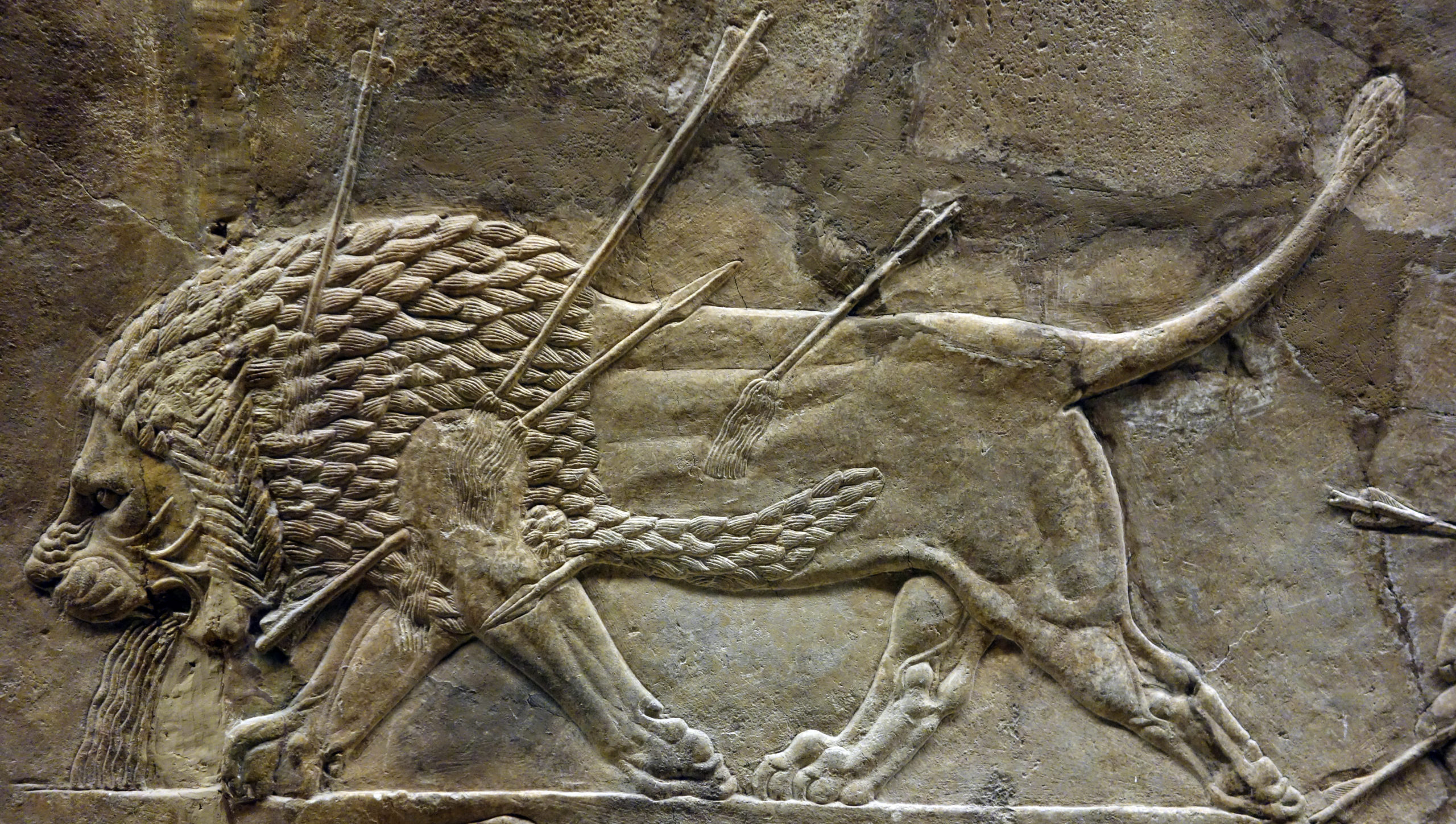 The Dying Lion, panel from the North Palace of Ashurbanipal, c. 645 B.C.E., Neo-Assyrian, alabaster, 16.5 x 30 cm, Nineveh, northern Iraq © Trustees of the British Museum. Part of a series of wall panels that showed a royal hunt. Struck by one of the king's arrows, blood gushes from the lion's mouth. There was a very long tradition of royal lion hunts in Mesopotamia, with similar scenes known from the late fourth millennium B.C.E.