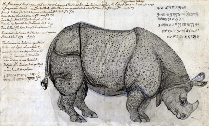 Gangaram Tambat, A Rhinoceros in the Peshwa’s Menagerie at Poona, Poona, 1790. Pen and black ink, brown ink, gray wash, gouache, and graphite on paper, 22.5 x 37.1 cm. Yale Center for British Art, New Haven, Connecticut