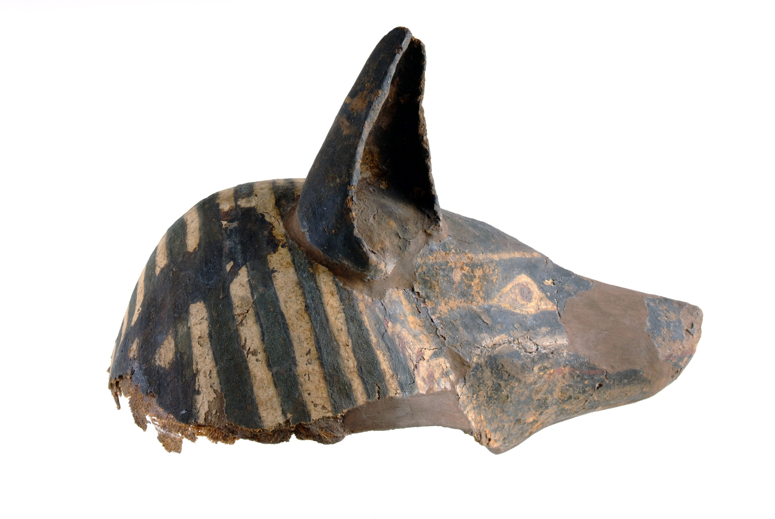 Mask likely to be worn by a male priest playing the part of Anubis in a temple during mummification or burial ritual. Probably buried with the priest who had worn it in life. Anubis mask, 8–4 B.C.E., cartonnage, coarse linen, mud plaster mixed with straw, probably excavated in Thebes, Egypt, 24 x 36 cm (Harrogate Museums and Arts)