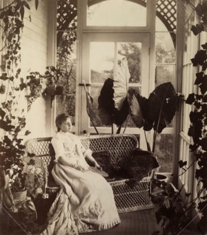 Photograph of Nelly posing in the Jones conservatory, date and photographer unknown (presumably Jones herself, c. 1882-83). Nova Scotia Archives, Halifax, NS