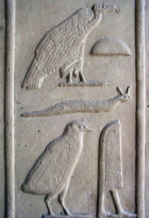 Highly detailed raised relief hieroglyphs on the White Chapel of Senusret I at Karnak (Middle Kingdom). (photo: Dr. Amy Calvert)