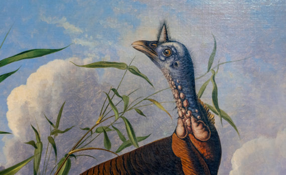 1845<br>John James Audubon, <em>The Wild Turkey</em>