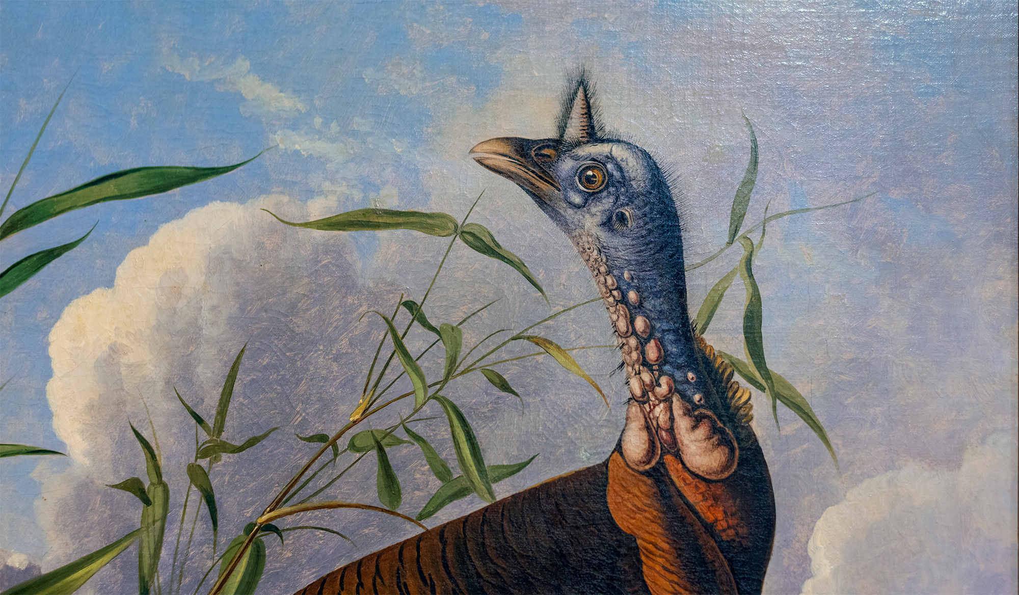 Smarthistory – John James Audubon, The Wild Turkey