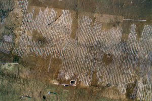Bird’s-eye view of a Bronze Age field discovered in Daepyeong-ri, Jinju. The ridges and furrows of the field resemble the field depicted on the bronze ritual object.