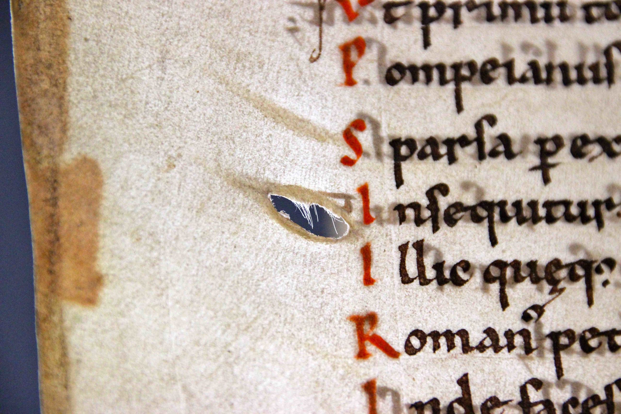 A cut, accidentally left there by the medieval parchment maker when he scraped the hairs off the processed skin. The hole contains some white hairs from the cow who "donated" his skin for the production of this book. BUR MS Q 1, c. 1100 (University Library, Leiden; photo: Erik Kwakkel)