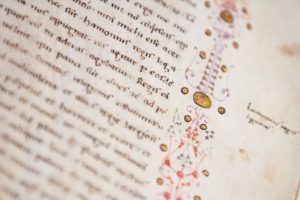 Gilding, Leiden, University Library, VLQ MS 4, 14th century (photo: Giulio Menna)