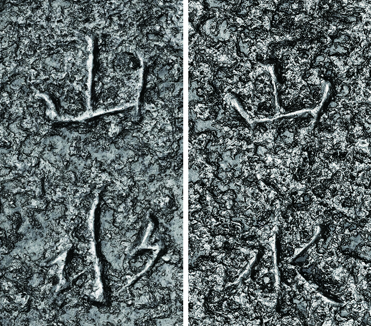 RTI images of stylistic differences between inscriptions. Left: "山水" in line 7 of inscription on Maitreya Bodhisattva from Gamsansa Temple; right: "山水" in line 5 of inscription on Amitabha Buddha from Gamsansa Temple