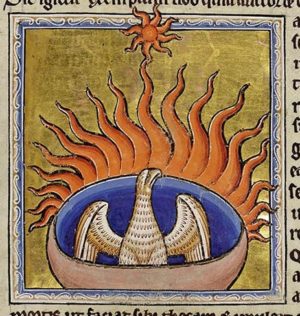 The phoenix from folio 56 recto of the Aberdeen Bestiary, written and illuminated in England around 1200. The Bestiary describes this magical bird as building its own funeral pyre and then rising from the ashes.