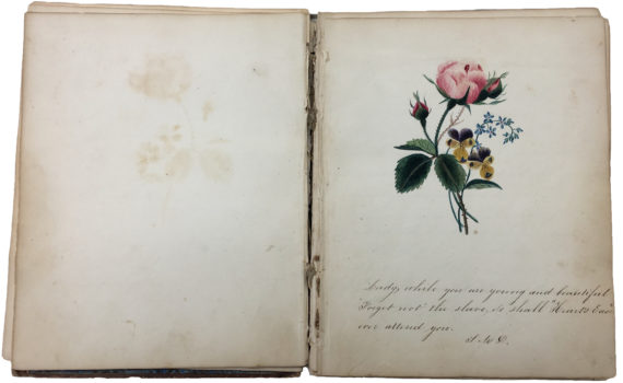 Sarah Mapps Douglass, Lady while you are young, and beautiful…, c.1836–37, Elizabeth Smith Friendship Album