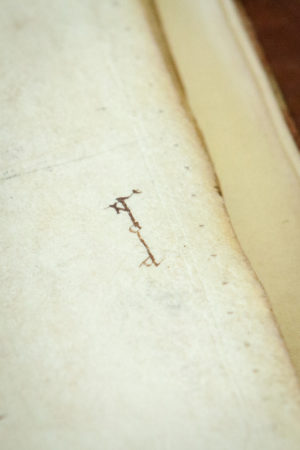 Leiden, University Library, VLQ MS 10, fol. 93r (photo: Giulio Menna)