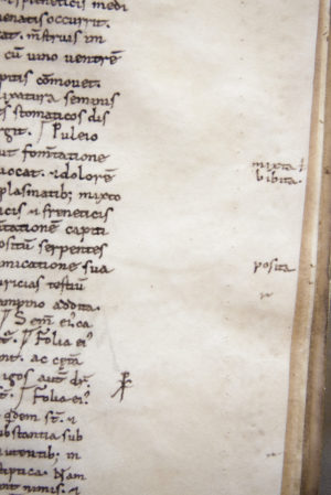 Marginal glosses with corrections next to the text, Leiden, University Library, VLQ MS 1, fol. 16r (photo: Giulio Menna)