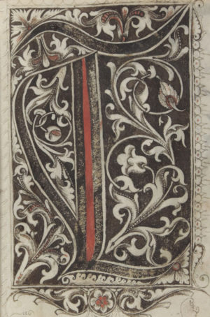 Initial letter T, Gregorius Bock, Medieval Scribal Pattern Book, 1510–17 (Beinecke Library, Yale, MS 439, folio 48 recto)