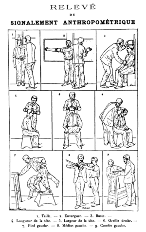 These illustrations instruct law-enforcement officials on the proper collection of several measurements for Bertillon’s anthropometric identification system. The accuracy of the system depended on uniform approaches to collecting these biometrics. Alphonse Bertillon, Frontispiece of Identification Anthropométrique: Instructions Signalétiques (1893). 