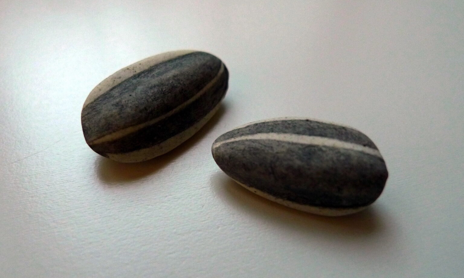 Smarthistory Alevel Ai Weiwei, Kui Hua Zi (Sunflower Seeds)