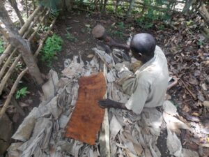 Stretching the treated bark skin to produce a barkcloth by hammering with a wooden hammer, 2017 (photo: Joyce Nanjobe Kawooya, CC BY-NC-SA 4.0)