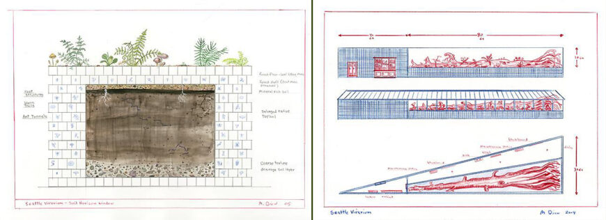Mark Dion, two drawings for Neukom Vivarium, 2004 and 2005 © Mark Dion