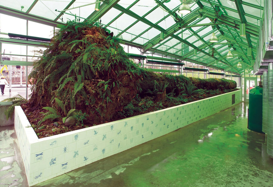 Mark Dion, Neukom Vivarium greenhouse, design approved 2004, completed 2006, mixed media, 80 feet long (structure) © Mark Dion