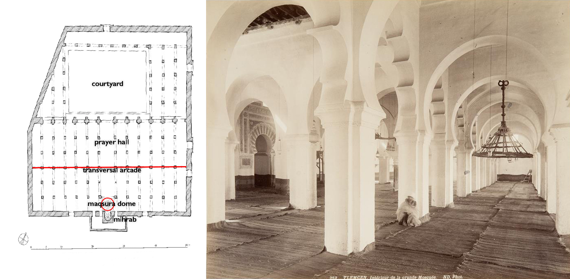 Left: Plan of Tlemcen mosque in 1136 (after Almagro, CC BY-NC 4.0); right: interior, Great Mosque of Tlemcen, showing horseshoe arcades (the view to the right) and a transversal arcade with polylobed arches (visible in the center of the photograph), 1136 (Hallwylska museet, Stockholm)