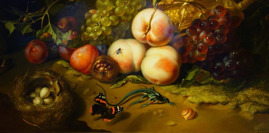 Fruit and creatures on mossy ground (detail), Rachel Ruysch, Fruit and Insects, 1711, oil on wood, 44 x 60 cm (Galleria degli Uffizi, Florence)