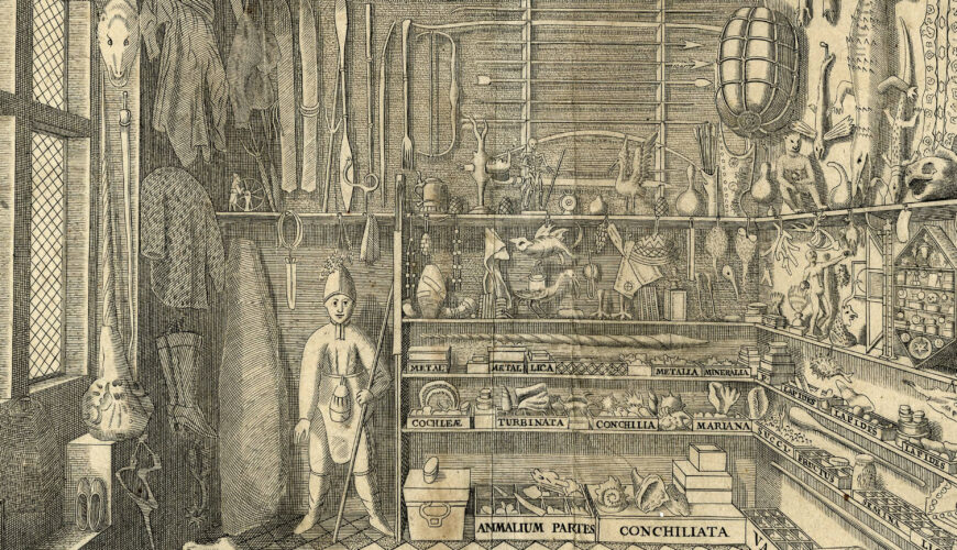 The rear wall with handicrafts, minerals, seeds, and more (detail), Frontispiece, Olaus Worm, Museum Wormianum (Leiden: Isaac Elzevier, 1655), engraved by G. Wingendorp, 1655, engraving on paper, 27.8 x 35.8 cm (© The Trustees of the British Museum, London)