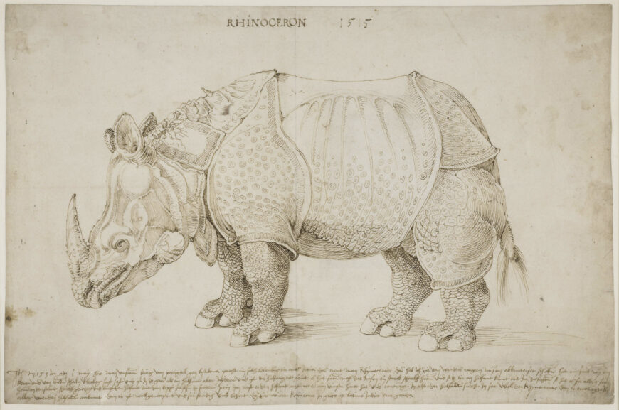 Albrecht Dürer, The Rhinoceros, 1515, pen and brown ink, 27.4 x 42 cm (© The Trustees of the British Museum, London)