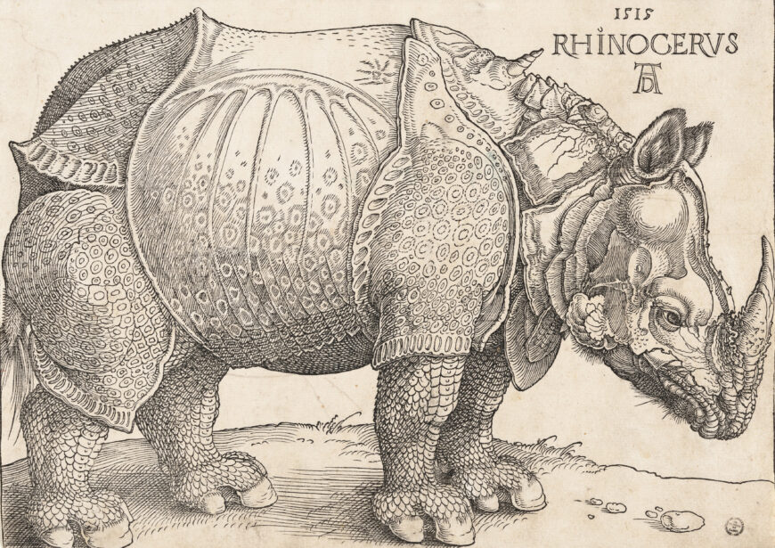 Rhinoceros (detail), Albrecht Dürer, The Rhinoceros, 1515, woodcut on laid paper, 23.5 x 29.8 cm (National Gallery of Art, Washington, D.C.)