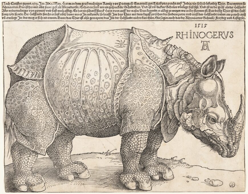 Albrecht Dürer, The Rhinoceros, 1515, woodcut on laid paper, 23.5 x 29.8 cm (National Gallery of Art, Washington, D.C.)