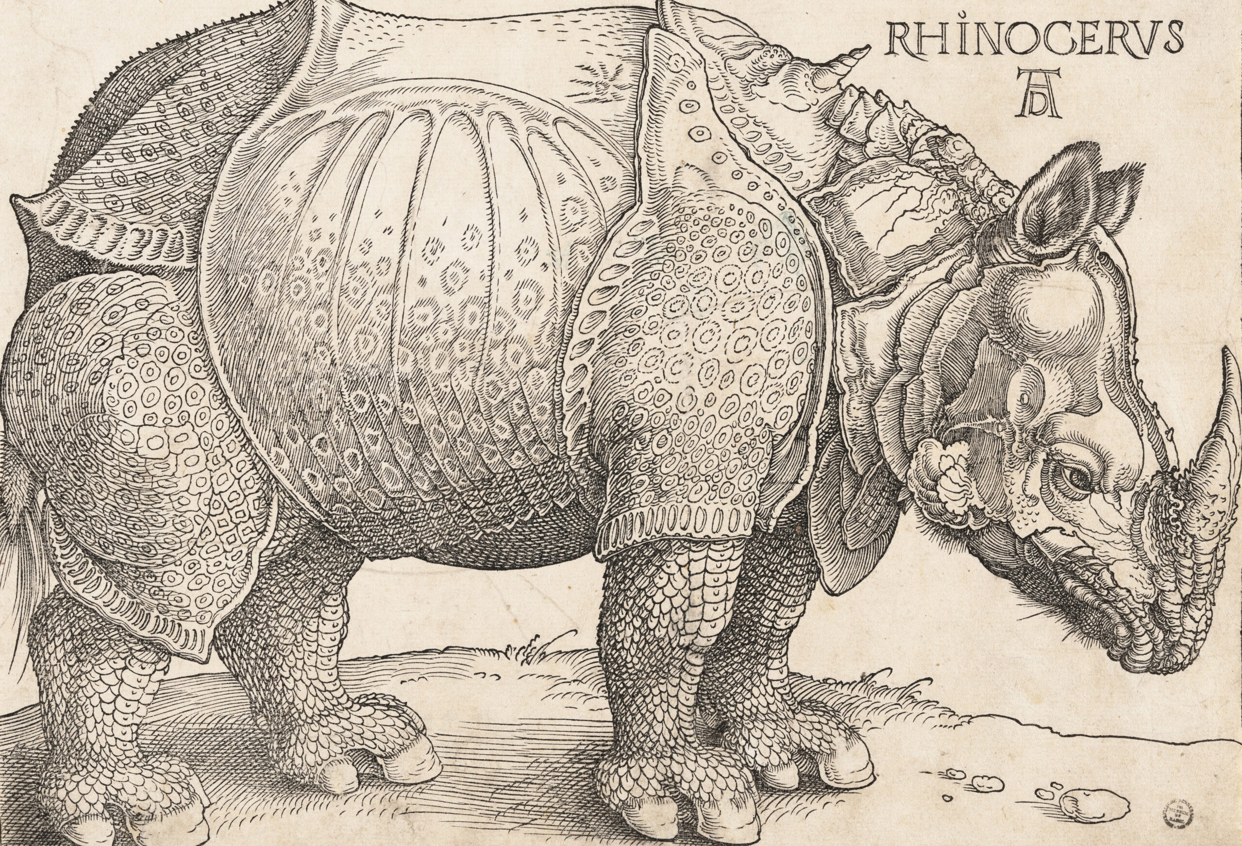 Dürer’s <em>Rhinoceros</em>: art, science, and the Northern Renaissance