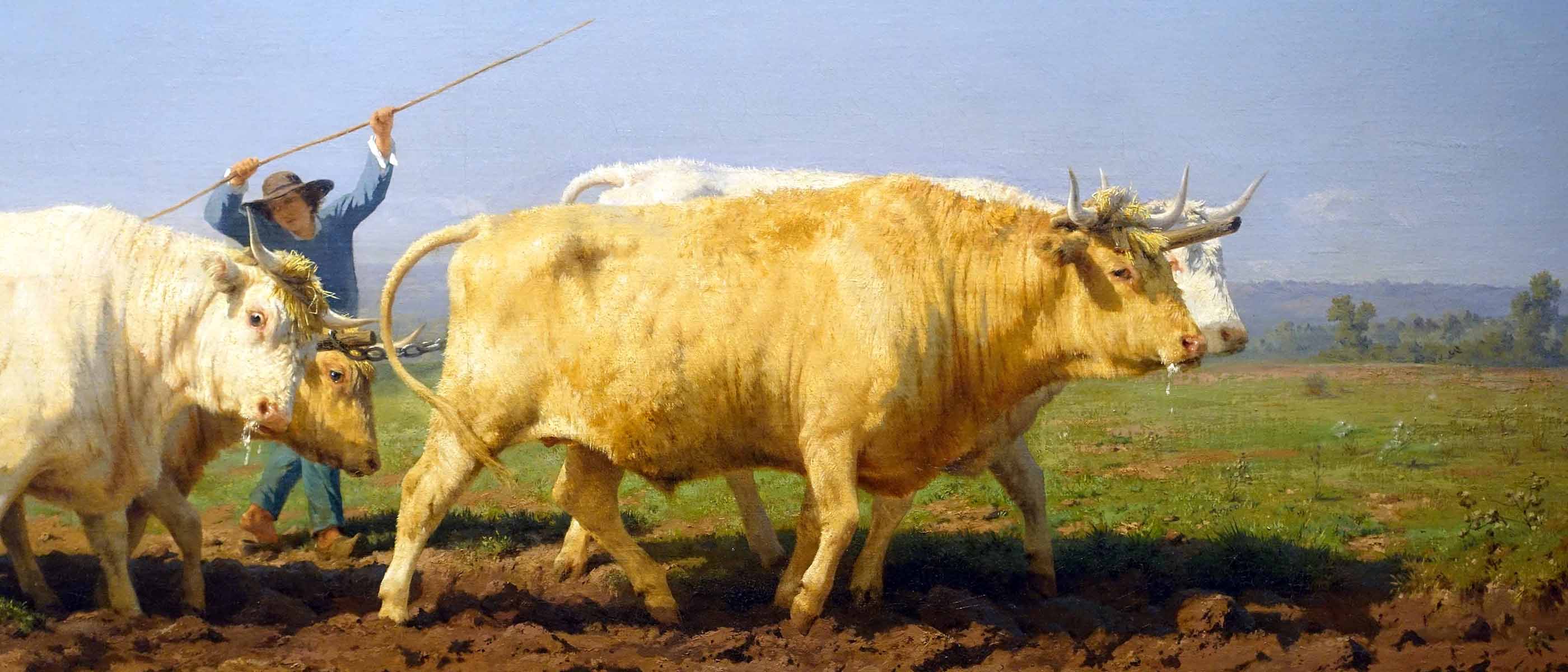 Rosa Bonheur