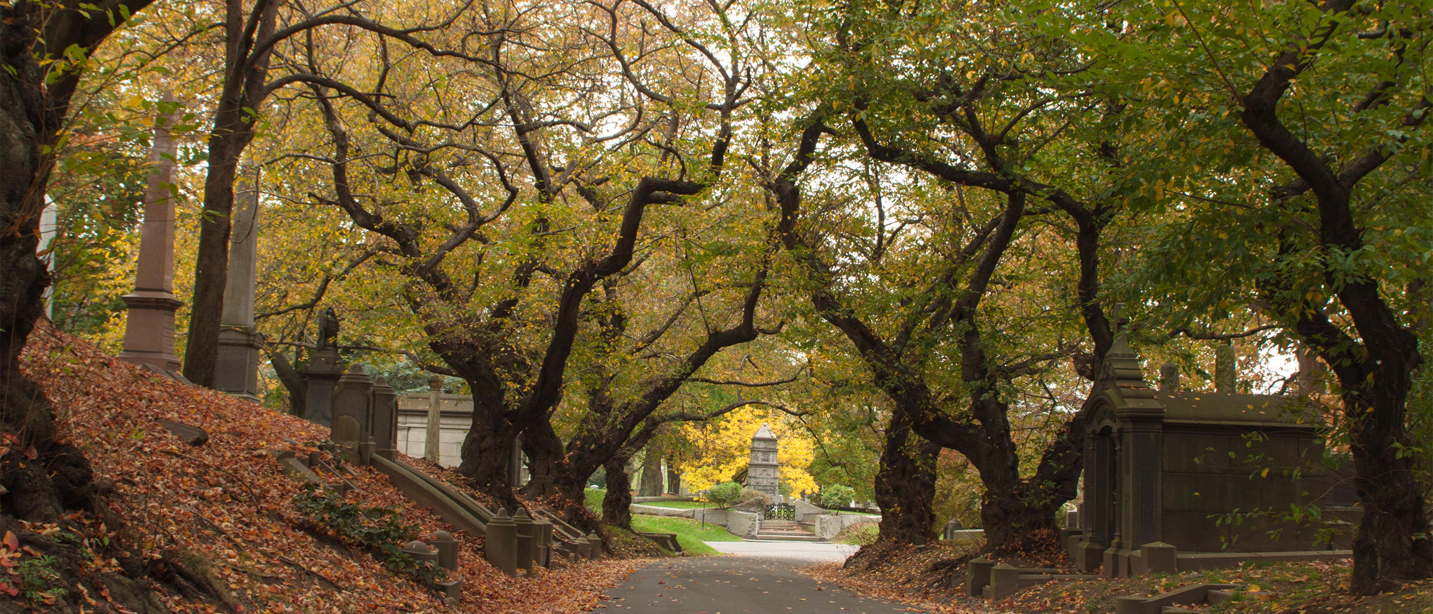 Frederick Law Olmsted