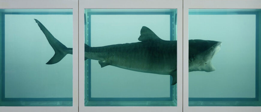 Damien Hirst, The Physical Impossibility of Death in the Mind of Someone Living, 1991