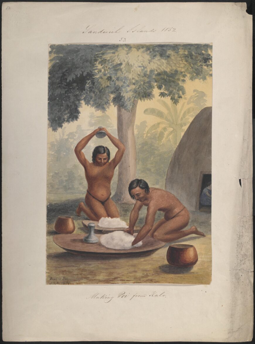 James Gay Sawkins, Making Poi from Kalo, 1852, watercolor on paper, 26.5 x 18.3 cm (National Library of Australia, Parkes)