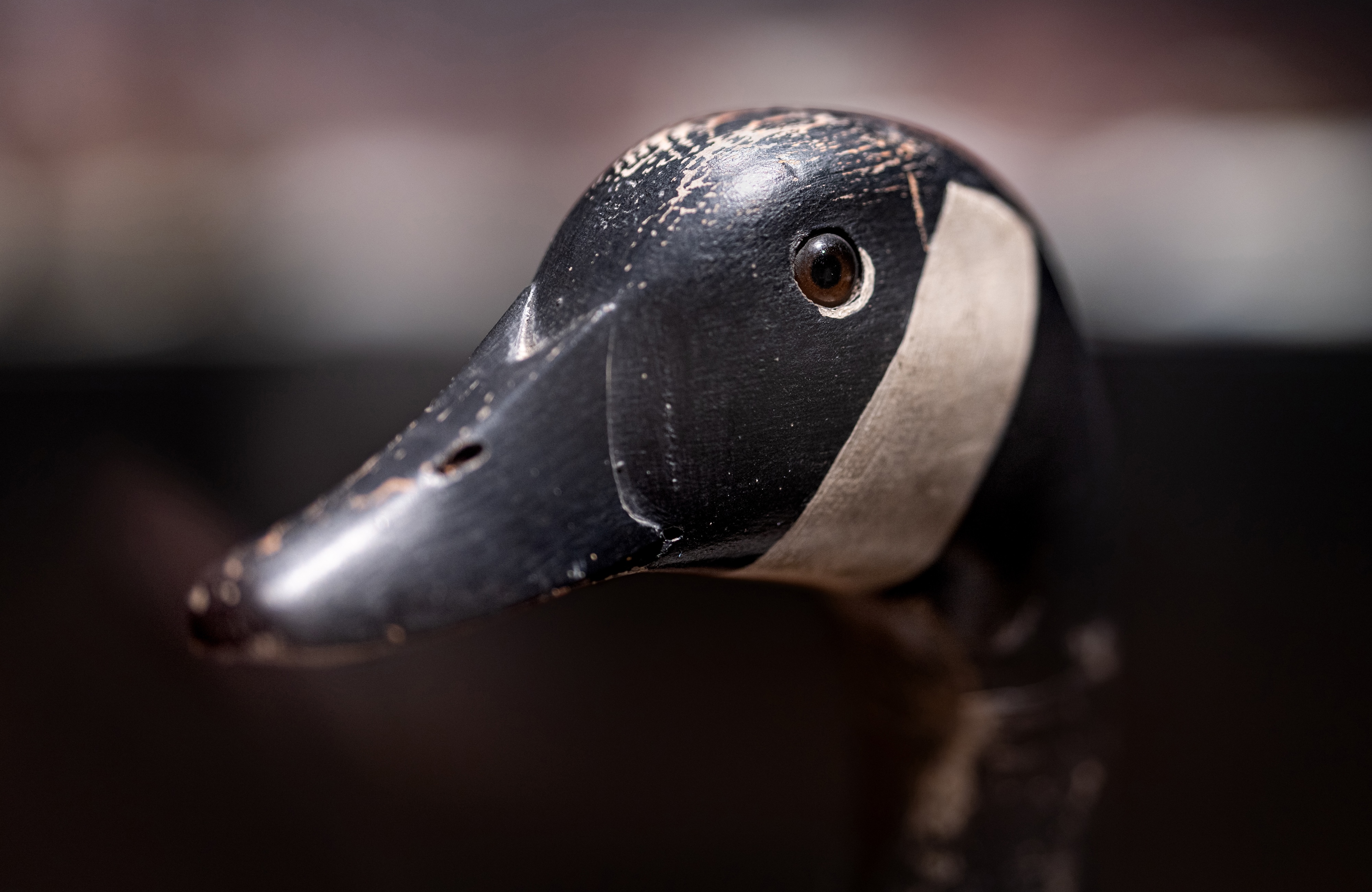 Charles S. Schoenheider Sr., Standing Canada Goose