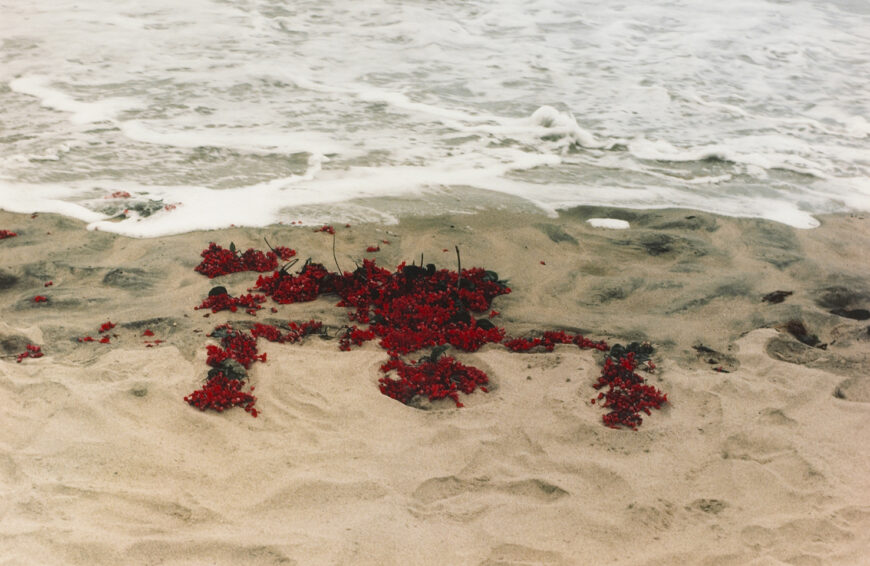 Ana Mendieta, Untitled, from the Silueta series, 1976 (1991 posthumous print), chromogenic print, 32.7 x 49.21 cm (The Museum of Contemporary Art, Los Angeles) ? The Estate of Ana Mendieta Collection